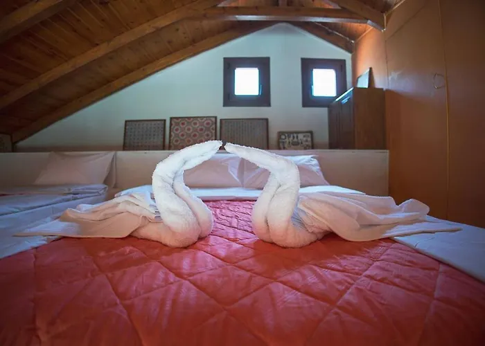 Foula House In Magnisia *